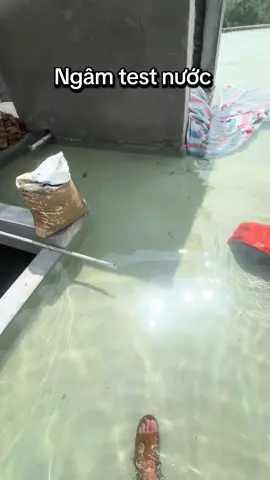Ngâm test nước một công đoạn không thể thiếu sau quá trình thi công chống thấm #chống_thấm_đức_cường  #xaydung  #nhapho  #cảitạolạinhàcũ  #chongtham 