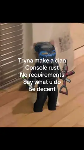 #rustgame 