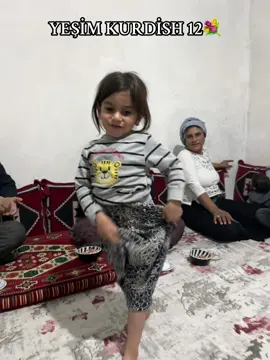 yeşime rakip aranıyor sjsjsj #yeşim #kurdish #roman 