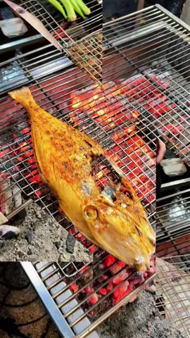 Cá Da Bò nướng muối ớt #124duong29binhtridongbbinhtan #cabiensach_binhtan_cn3 #cánướngbìnhtân0903915297 