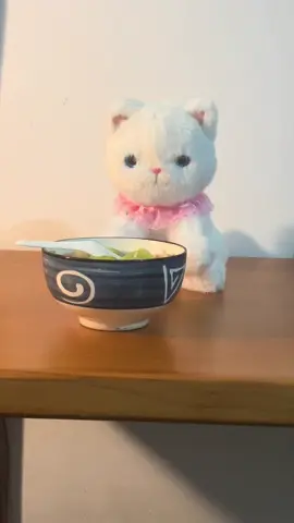#plushcat #stopmotion #plushies 