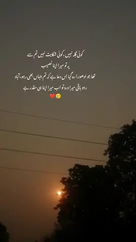 تم نے اسے چھوڑ کیوں دیا؟ چھوڑا نہیں جانے دیا ۔ کہاں ۔؟ جہاں اس کا دل کرے ۔ تمہیں تکلیف نہیں ہوتی؟ جن سے محبت کی جائے ان کے حقدار نہیں بن جاتے ۔ ❤️‍🩹🥺 #foryoypage #foryoupage #1millionaudition #viral #fypシ💔 