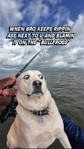 Come on man! Aint no damn frogs out here!! 🤣 @Captain Hook Set @Coastal Wader @luis6_official 
