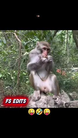 funny video hhahhahahh🤣😜🤣😜#creatorsearchinsights #alixmiamiswimsuit #funnyvideo #fyp #LIVEIncentiveProgram 
