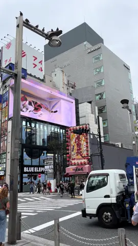 Shinjuku 😻#Japan #Tokyo #Shinjuku