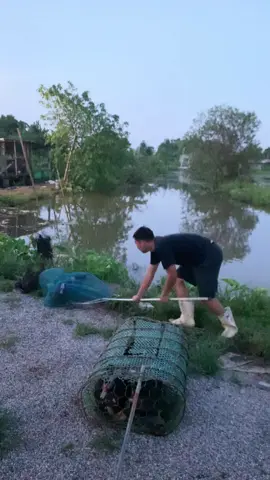 Ông Tam bắt ngan làm cỗ cưới #Cuonghanam  #nhahangcuongbeo  #Goicahanam  #thinhhanh  #xuhuong 
