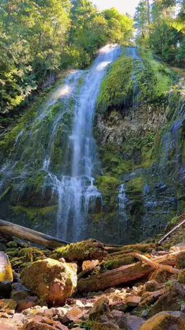The moss grew on the hardest surfaces here. Soft things find a way to thrive in tough places and so do you. #MossCore #NatureTok #PNWNature #WaterfallVibes #YouGotThis