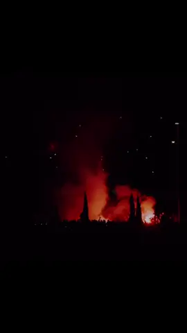 Madrid is White #RealMadrid #viralvideo #fyp #foryou #bellingham 