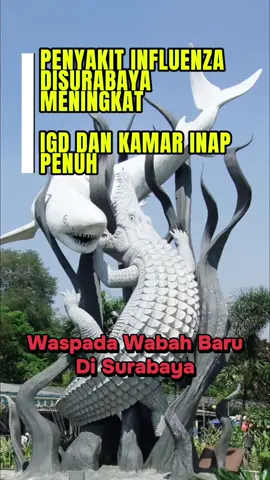 Waspada Wabah Baru Di Surabaya.. #influenza #wabah #surabaya #penyakit #virus 