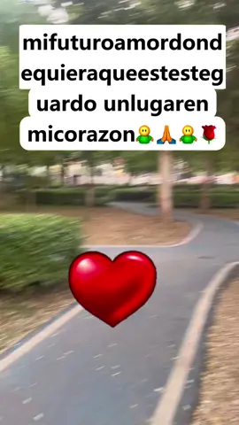 mifuturoamordondequieraqueestesteguardo unlugaren micorazon