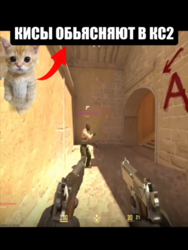 кисы обьясняют кс2 #КС #КС2 #КСГО #КС2МЕМЫ