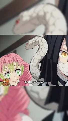 Obanai & Mitsuri: Vì Sao Chuyện Tình Xà Luyến Đau Lòng Nhưng Lại Viên Mãn Đến Thế? 💔🐍🌸#demonslayer 