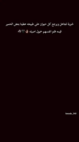 #عباراتكم_الفخمه📿📌 #تصميم_فيديوهات🎶🎤🎬 #تصويري📸 #لايك_متابعه_اكسبلور #قبرص🇨🇾 