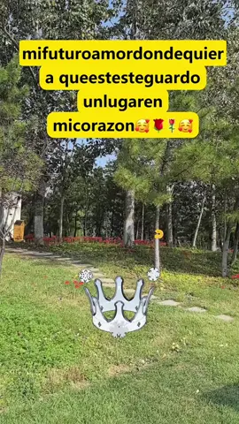 mifuturoamordondequiera queestesteguardo unlugaren micorazon