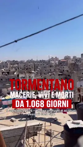 9 settembre 2026 - Campo profughi di Al-Shati, a ovest di Gaza City. Al-Shati era già un cumulo di macerie dopo mesi di bombardamenti.  Le famiglie avevano provato a tornare nelle loro case distrutte. Oggi è stato colpito di nuovo. Blocco residenziale colpito, nuove distruzioni, nuovo sfollamento. Da 1.068 giorni si tormentano macerie, vivi e morti. Non è politica. È rispetto per chi non ha più niente, nemmeno le macerie. #AlShati #Gaza #GazaCity #rispetto #pace 