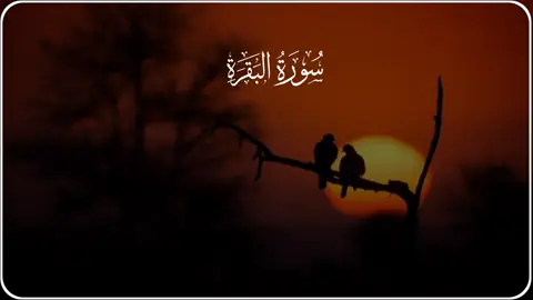 #القران_راحة_نفسة_ #اللهم_صلي_على_نبينا_محمد 