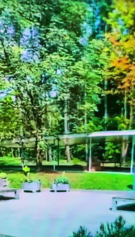Foryou#so#beautiful#paradise#flowerplace#view🌹🌹🌹🌹🌹🌹🌹🌹🌹🌹🌹🌹🌹🌹🌹🌹🌹🌹🌹🌹🌹🌹🌹🌹🌹🌹❤️❤️❤️🌺🌺❤️🌺🌺❤️❤️🌹🌺🌺❤️🌺❤️❤️❤️❤️ 