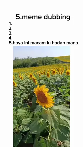 #meme#dubbing#memes  #funnyvideos#voiceover 