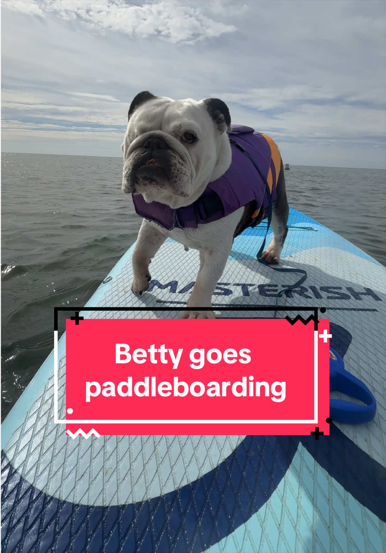 Nothing better then spending time with my best girl on the ocean ❤️❤️ #paddleboarding #dogpaddleboarding #paddleboardingdog #capecod #capecoddog 