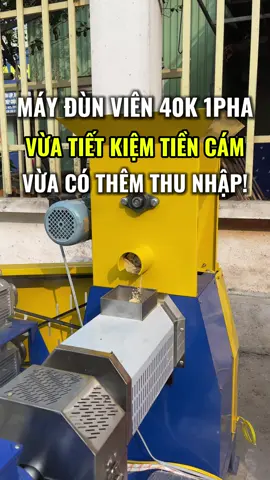 Làm cám nổi bằng điện 1 pha, vừa tiết kiếm tiền cám, vừa có thêm thu nhập!! #xuhuong #channuoi #binhquangroup #maydunvien