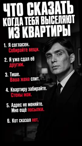 Хозяин сказал съезжать. Кот не согласовал 💀 #квартира #аренда #юмор #мемы #приколы