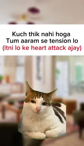 Lo lo or lo #foryoupage #memes #memesbyhamid#trending #relat 