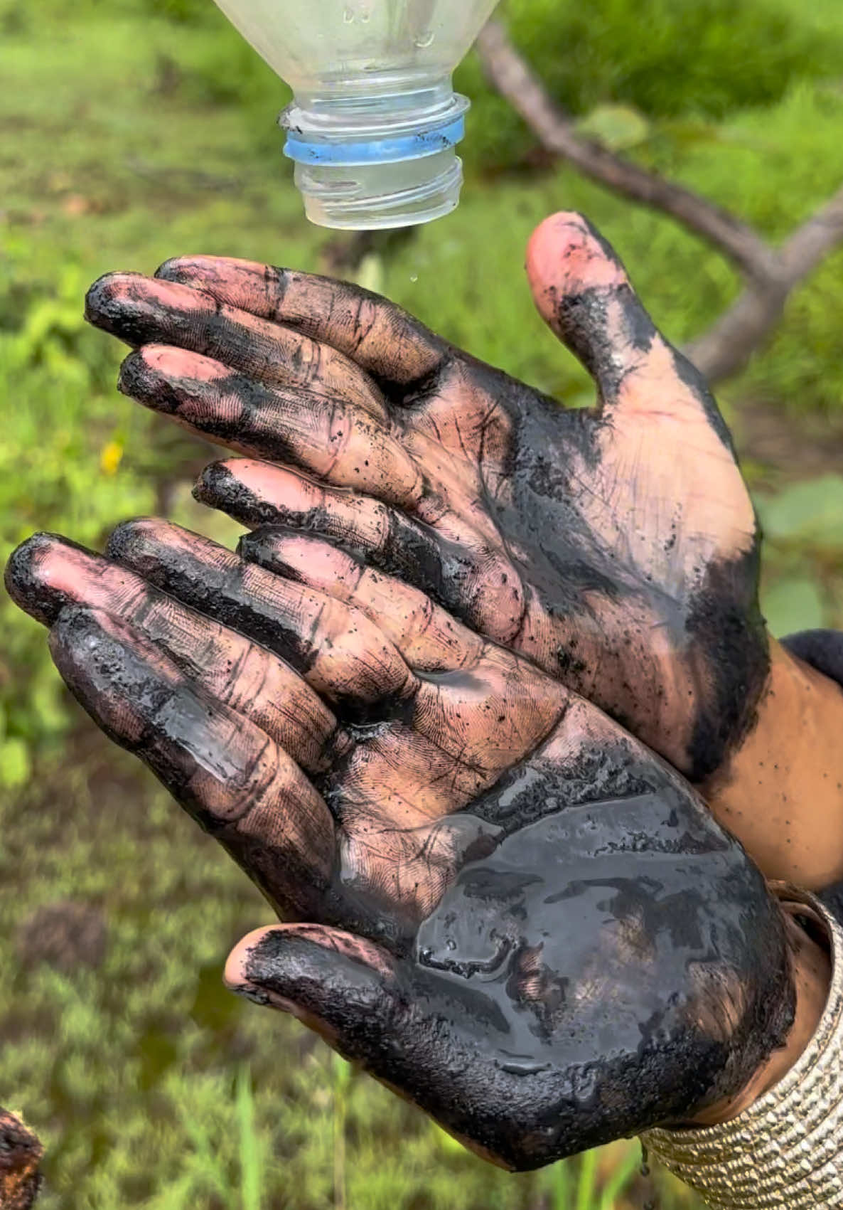 Habilidades de supervivencia: Una madre ingeniosa muestra cómo hacer agua y jabón 100% efectivos para la naturaleza #camping #supervivencia. más