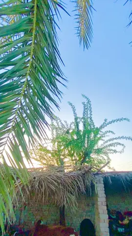 #trending #foryou #🤣🤣👍👍 #foryou #viralvideo 