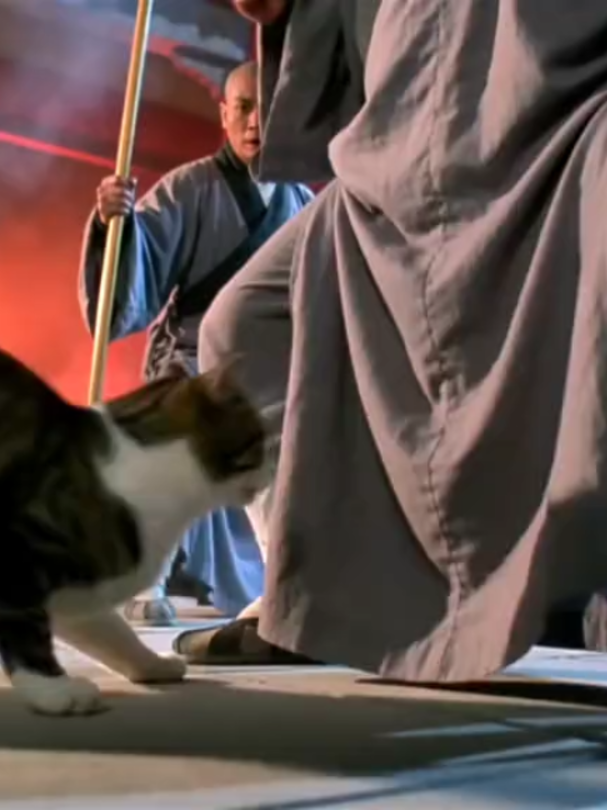 Cats With Guns: The Ultimate Showdown! 🐱💥#CatGunfight #ActionCats #CatsInAction #EpicCats #CatMovie #CinematicCats #AIShortFilm #ActionMovie #FunnyCats #CatWar #TikTokCats #FYP