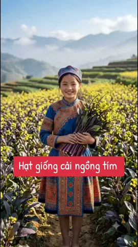 🌱 CẢI NGỒNG TÍM – VỪA ĐẸP MẮT, VỪA NGON MIỆNG! 💜 Các bác thích trồng rau sạch tại nhà thì đừng bỏ qua giống cải ngồng tím này nhé! Cây lên khỏe, ngồng tím bắt mắt, có thể xào, luộc hoặc nấu canh đều ngon. Trồng vài luống trong vườn, vừa có rau sạch cho gia đình, vừa làm khu vườn thêm rực rỡ.#hatgiongcaingongtim #caingongtim #giongcaingong #xuhuongtiktok 
