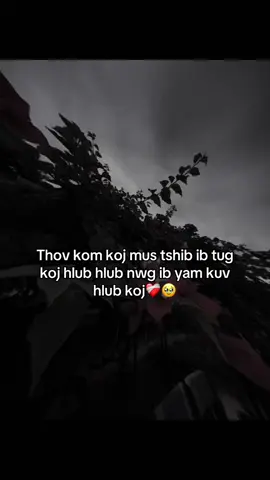 Thov kom luag hlub koj xwb.😇#xhuongggtiktok💞💕 #trendingtiktok 