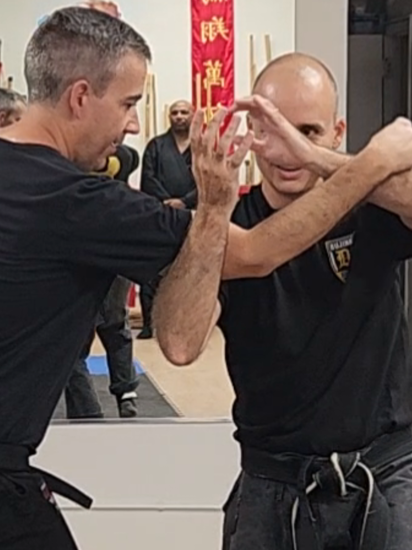 Arm bar Oni Kudaki Bujinkan Dojo  #bujinkan #martialarts 