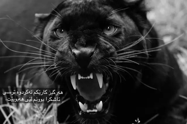 #fyp #foryou #rasty_lak #foryoupage #viral 