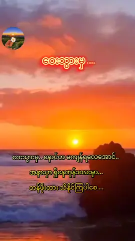 #ဝေးသွားမှ #ညီတူမျှဝေခံစားနိုင်ကြပါစေ #ဝန်းရံသူတိုင်းကိုကျေးဇူးတင်လျက်ပါ #fypage #fypシ゚ 