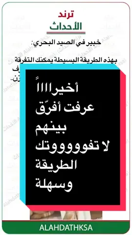 #أخبار_السعودية #الروبيان #السمك #الغداء #أسماك 