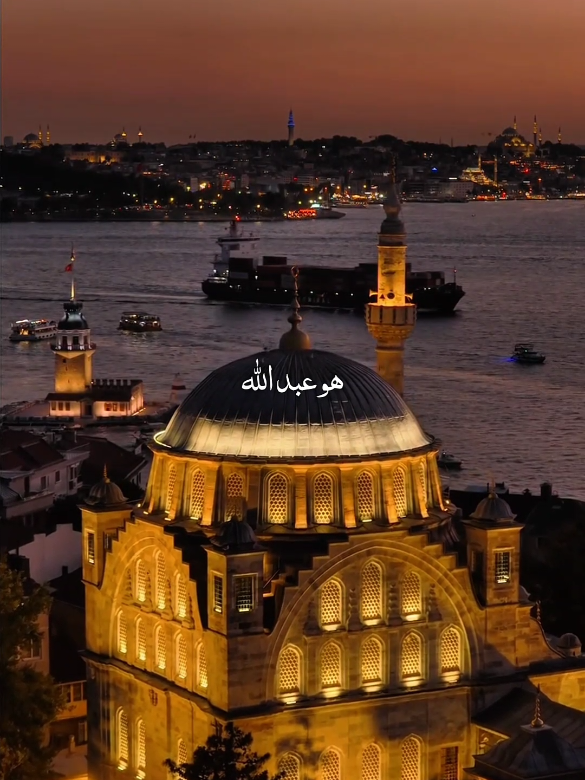 🦋🎧Feel this nasheed. #foryoupage #goviral #islamicvideo #tiktokgrowthchallenge #allah 