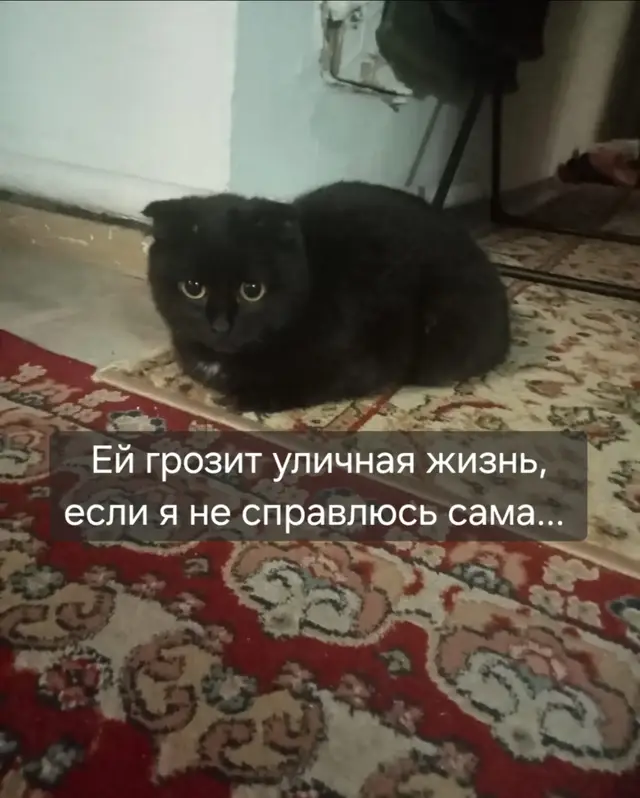 #рек #рекомендации #рек #рекомендации #р 