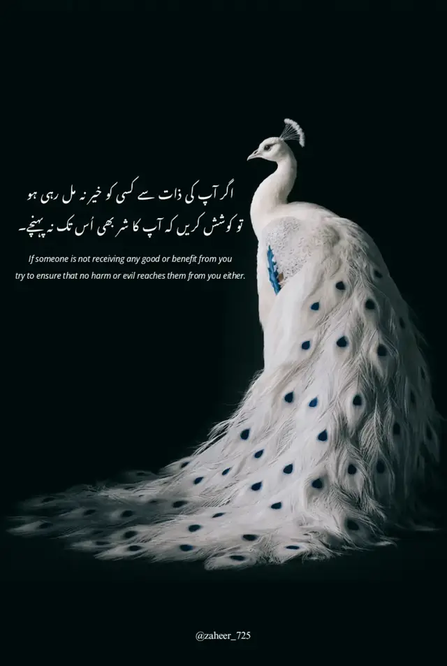 ہر انسان اپنی زندگی میں کسی نہ کسی پوشیدہ جنگ سے لڑ رہا ہوتا ہے۔ اگر ہمارے پاس ان زخموں پر مرہم رکھنے کا سامان نہیں ہے، تو کم از کم ہمیں ان زخموں پر نمک چھڑکنے کا کوئی حق حاصل نہیں ہونا چاہیے۔ اپنی زبان کو شر سے محفوظ رکھنا اور اپنے وجود کو کسی کی اذیت کا سبب نہ بننے دینا ہی انسان کے کردار کی معراج ہے۔ #fyp #quotes #zaheer_725 