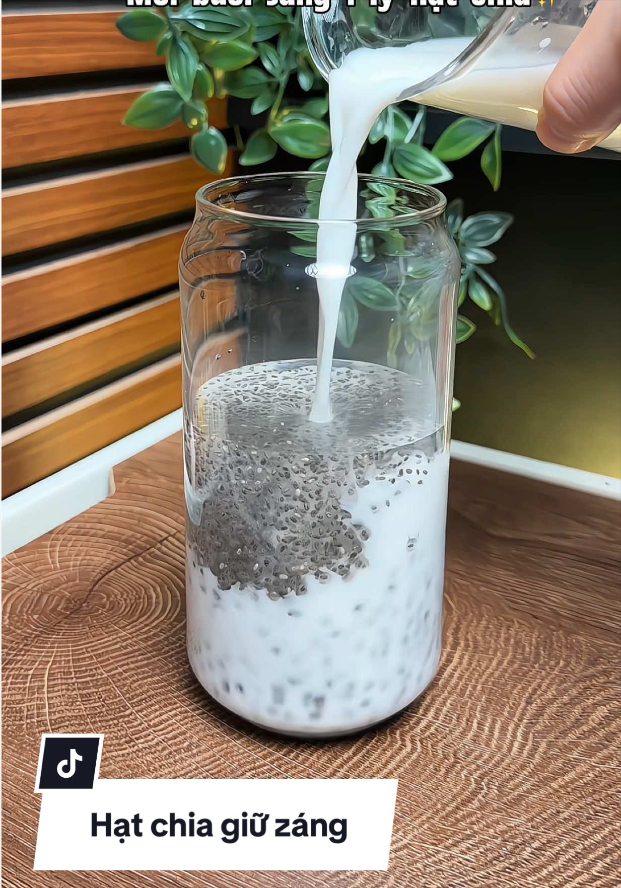 Hạt chia DK HARVEST vừa ngon lại giữ záng nè mấy bà #hatchia  #hatchiadkharvest  #healthy 