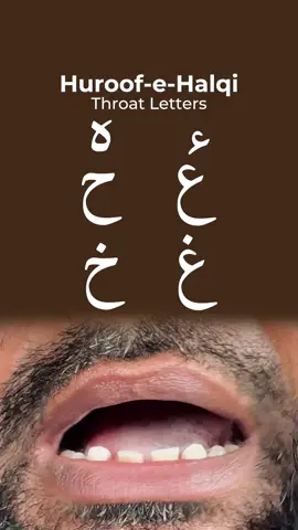 Learn the 6 Throat Letters of Arabic! 📖✨ Huroof-e-Halqi (حروف حلقی): 🔹 ء 🔹 هـ 🔹 ع 🔹 ح 🔹 غ 🔹 خ Learn their correct Makhraj and pronunciation with Sheikh Abdullah Al Badri and improve your Qur’an recitation step by step. 🤍 📩 DM us now for a Free Trial Class! #abdullahalbadri #Tajweed #Quran #AlBadriInstitute #HuroofEHalqi 