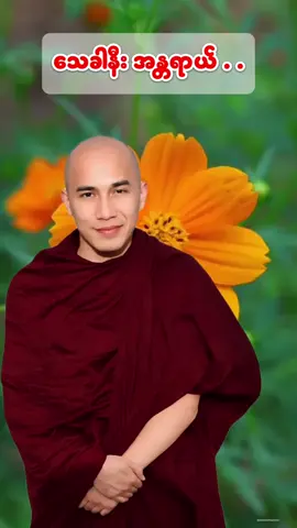 @မြတ်ဗုဒ္ဓ၏တရားတော်များ  #သစ်စာရွှေစည်ဆရာတော်🙏🙏🙏🙏 #fyp #foryou #ti̇ktok #တရားတော်များနာယူနိုင်ပါစေ🙏 