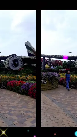 #creatorsearchinsights💘🌹 #unitedarabemirates #🇦🇪💘💘💘💓💓fypシ゚viral🖤tiktok☆♡🦋myvideo#