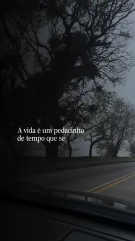 A vida é um pedacinho de tempo que se despede de nós todos os dias… por isso, viva com gratidão, ame sem medo, valorize os pequenos momentos e não deixe para amanhã aquilo que pode fazer o seu coração feliz hoje. O tempo passa, mas as memórias de uma vida bem vivida permanecem. ✨❤️