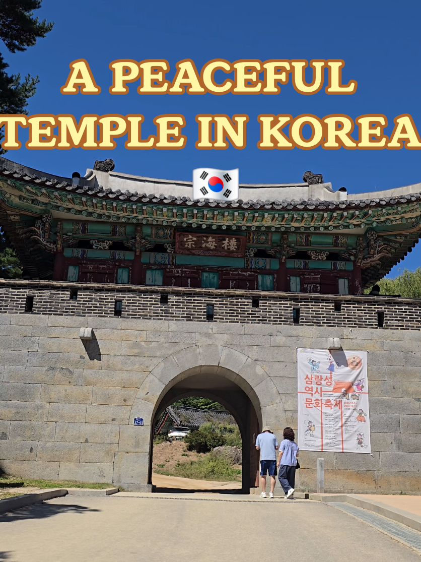 A Peaceful Tea Break at a Korean Temple 🍵🇰🇷 | Jeondeungsa Walking beneath old trees, exploring traditional Korean temple buildings, and taking a quiet break with a cup of tea. Sometimes the best part of traveling Korea is simply slowing down and enjoying the moment. 📍 Jeondeungsa Temple, Ganghwa Island, Incheon, South Korea Would you like to have a cup of tea here? #Jeondeungsa #KoreanTemple #GanghwaIsland #Ganghwa #Incheon 