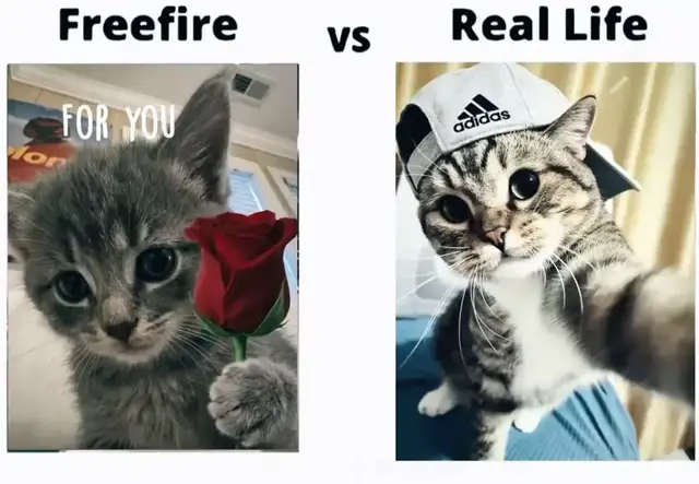 🫥