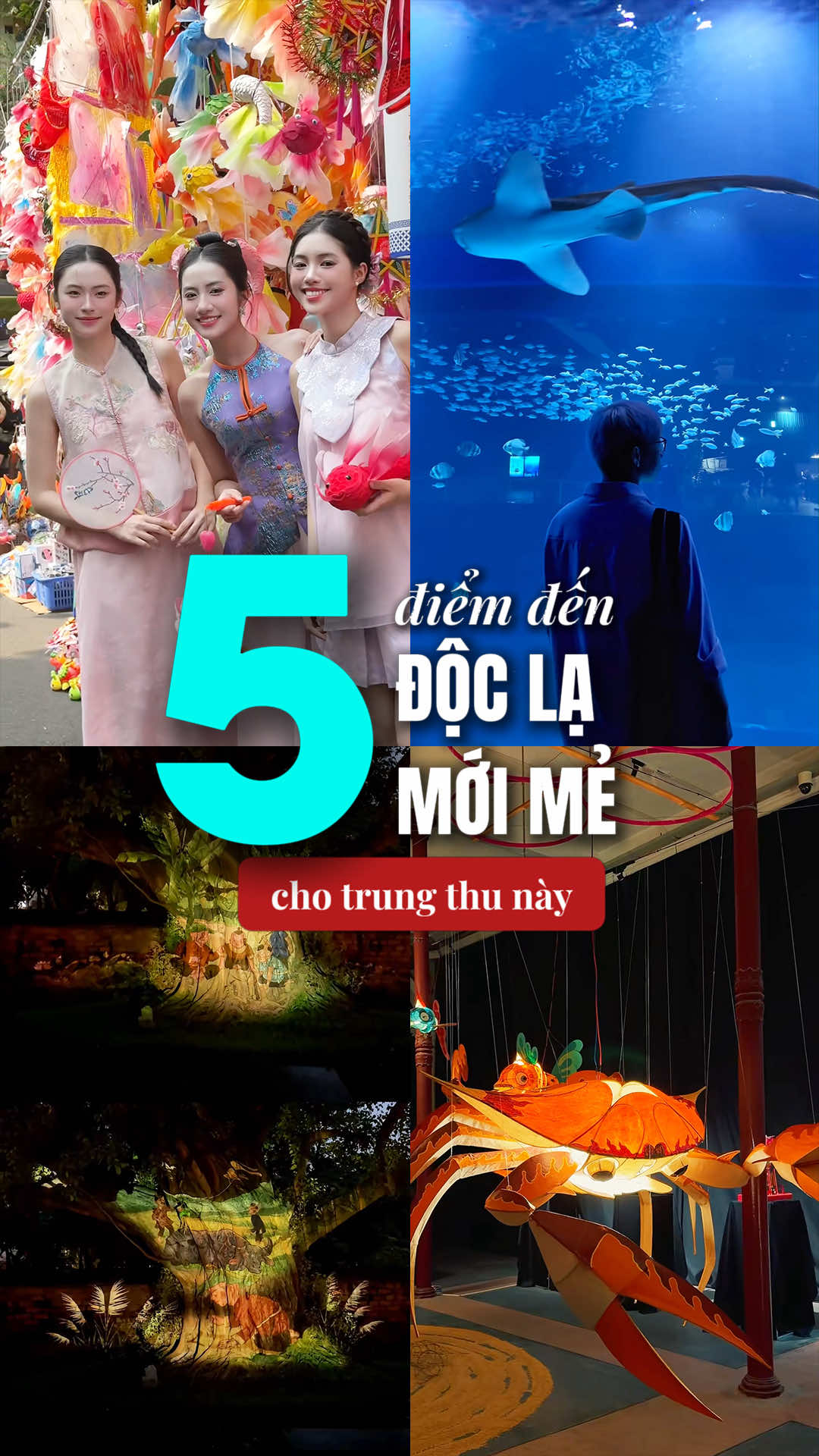 Mùa trung thu này đừng bỏ lỡ 5 điểm check in hay ho này nhé #tripifytourist #reviewdulich #tinhhoabacbo #lotteworldaquarium 