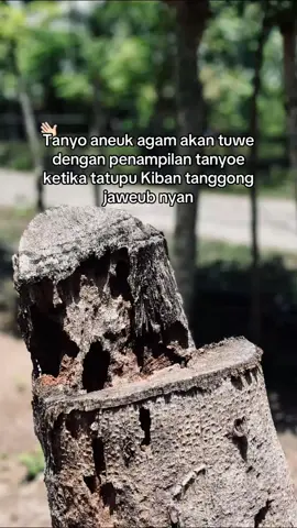 🙌🏻 katakata#aceh#foryoupge#berkelas 
