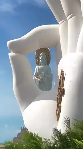Nam Mô Quán Thế Âm Bồ Tát Cứu Khổ Cứu Nạn🙏🙏🙏