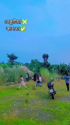 #বেকুটিয়া কাশফুল বাগান 😊