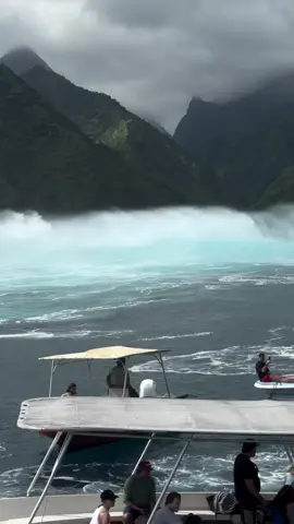 #surfvibes 